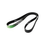 GERIBDE V-RIEM